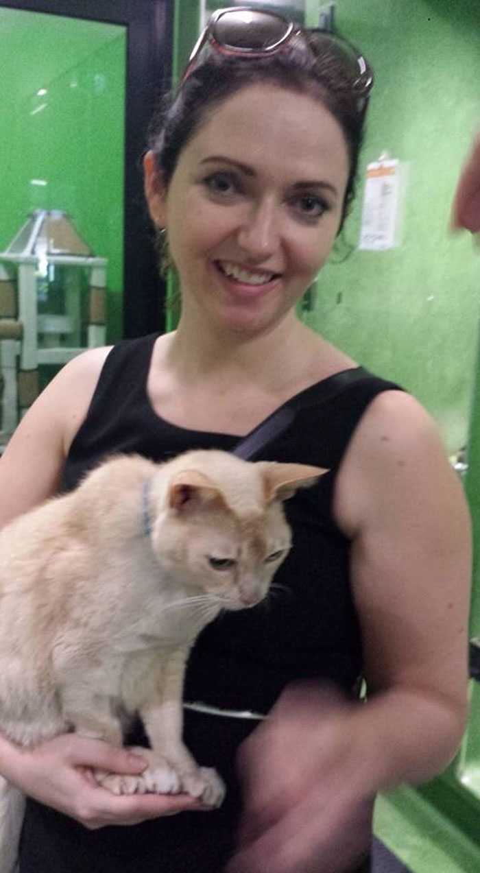 13-ročná mačka z útulku je adoptovaná, nemôže zaspať, pokiaľ mu človek nedrží labku