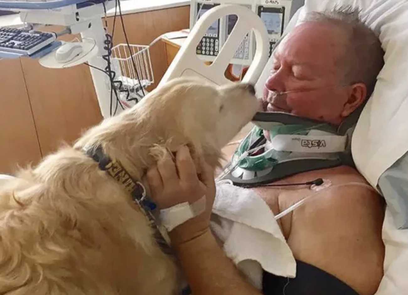 Zlatý retriever zachránil život mužovi, ktorý si zlomil krk a nechal zmrznúť