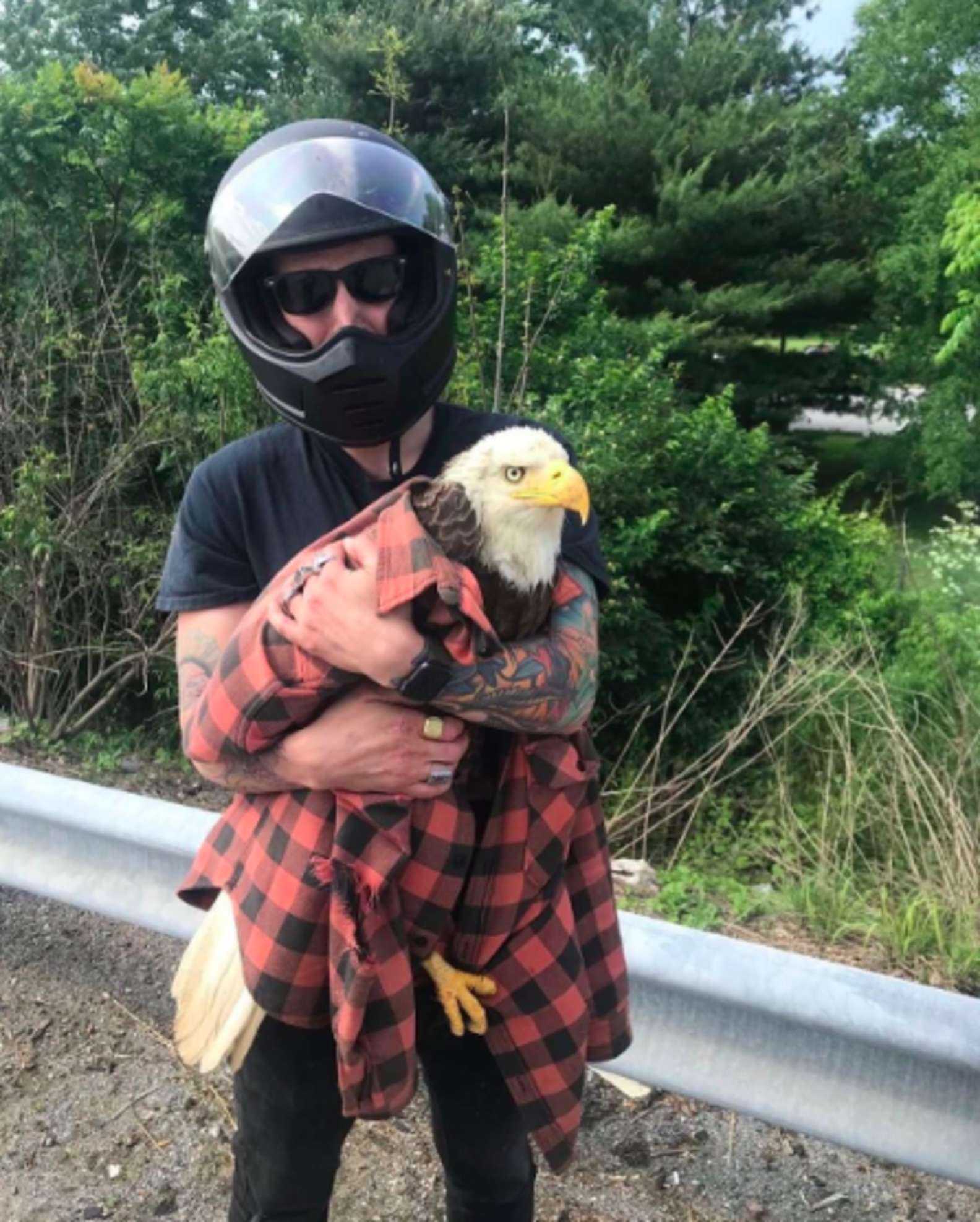 Guy Sees A Bald Eagle prichytený v premávke a zachráni jej život